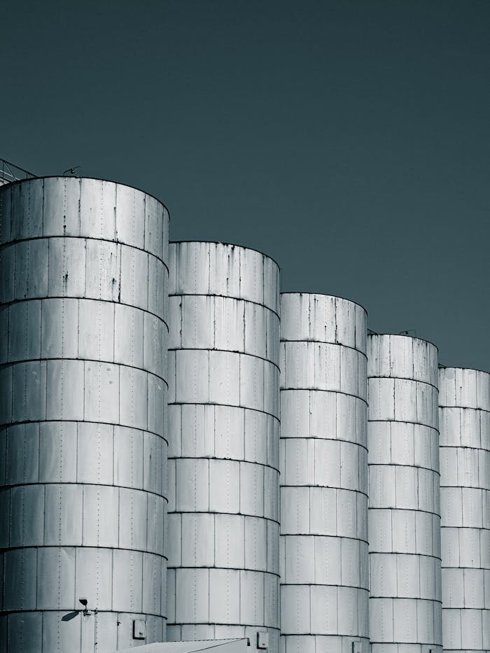 A row of large industrial silos with a clear blue sky backdrop, showcasing modern agriculture.